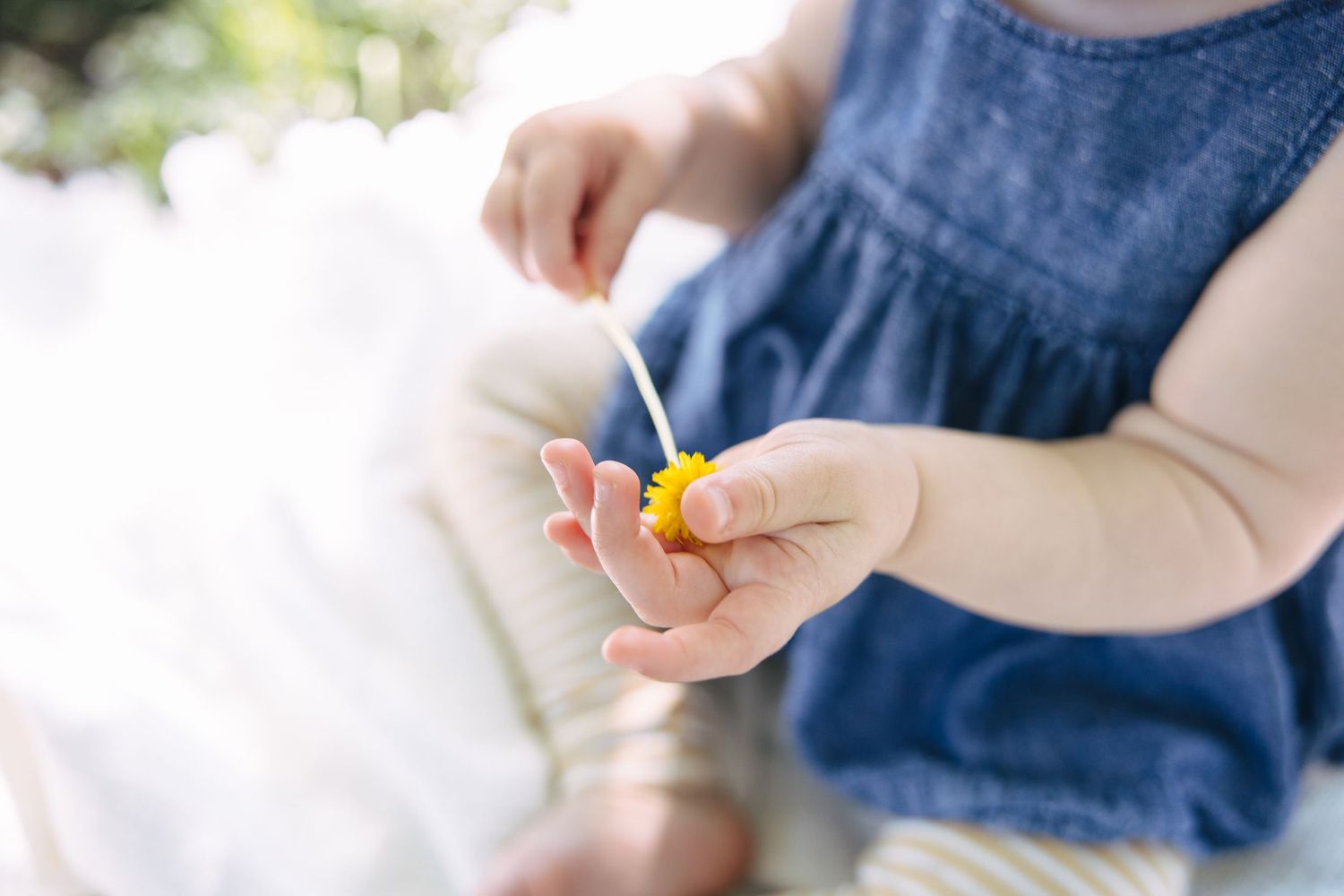A baby's tiny hands hold a small yellow flower outdoors in soft natural light.