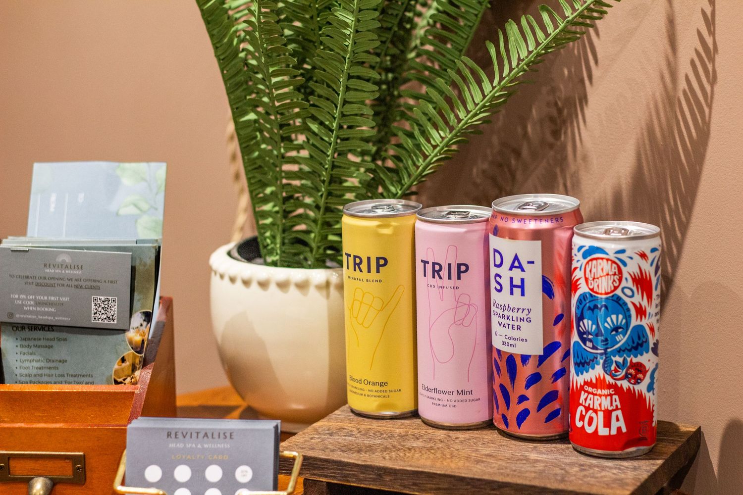 Collection of colorful beverage cans arranged on a shelf with ferns and decorative elements.