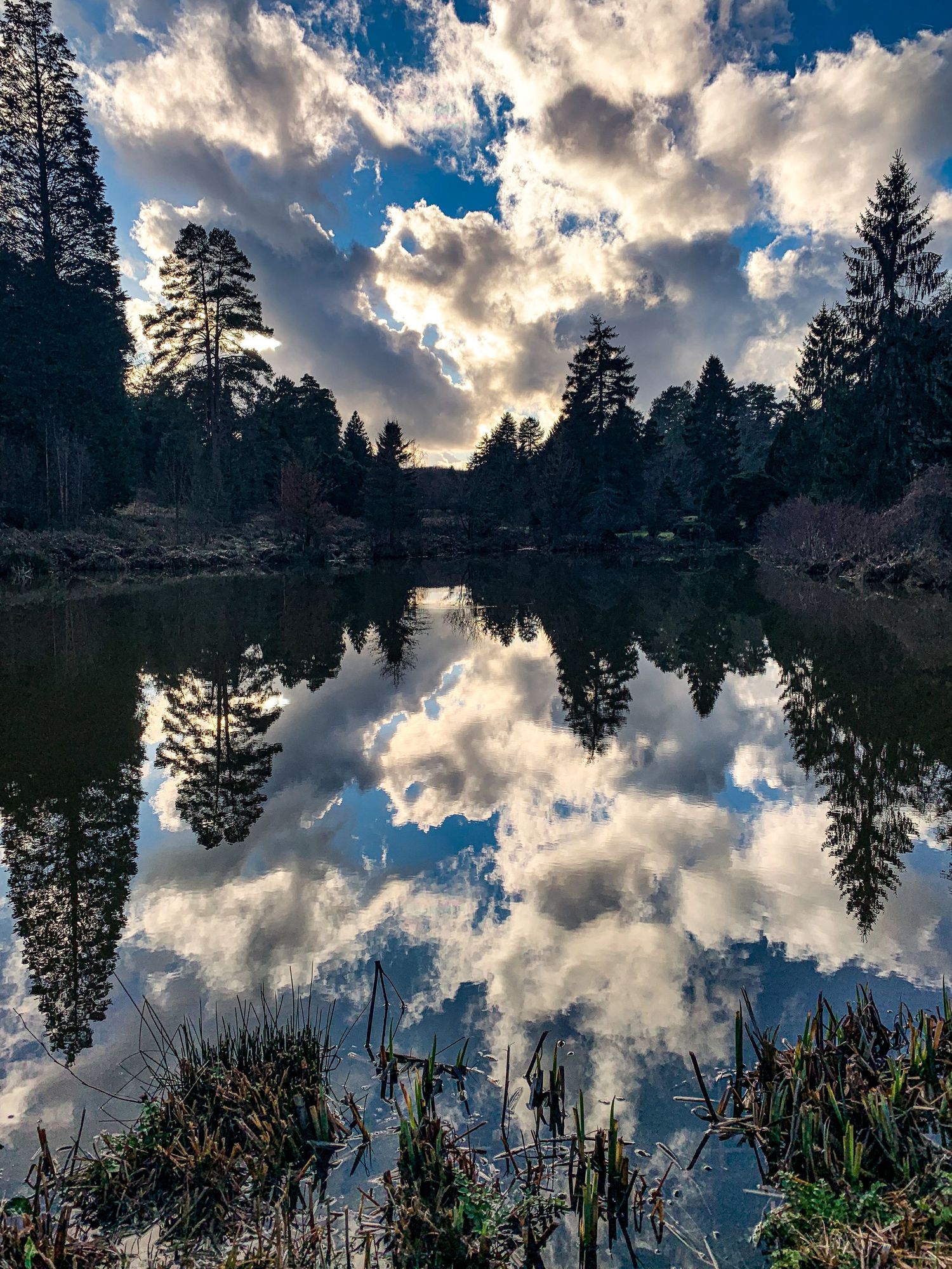 Dramatic clouds reflecting in still water with silhouetted trees at sunset.