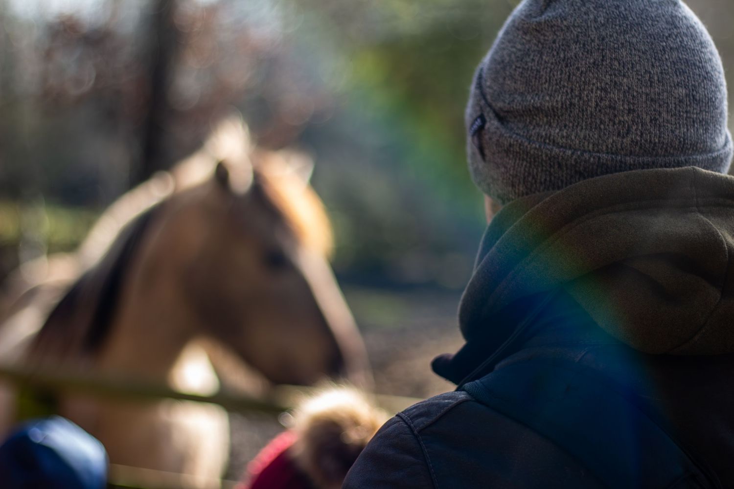 A person in winter clothing observing a horse in the distance.