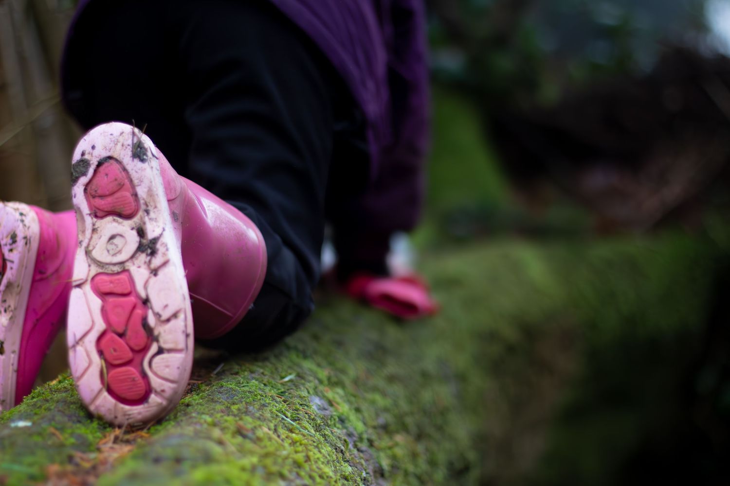 Pink boots walking through fallen leaves on forest ground.