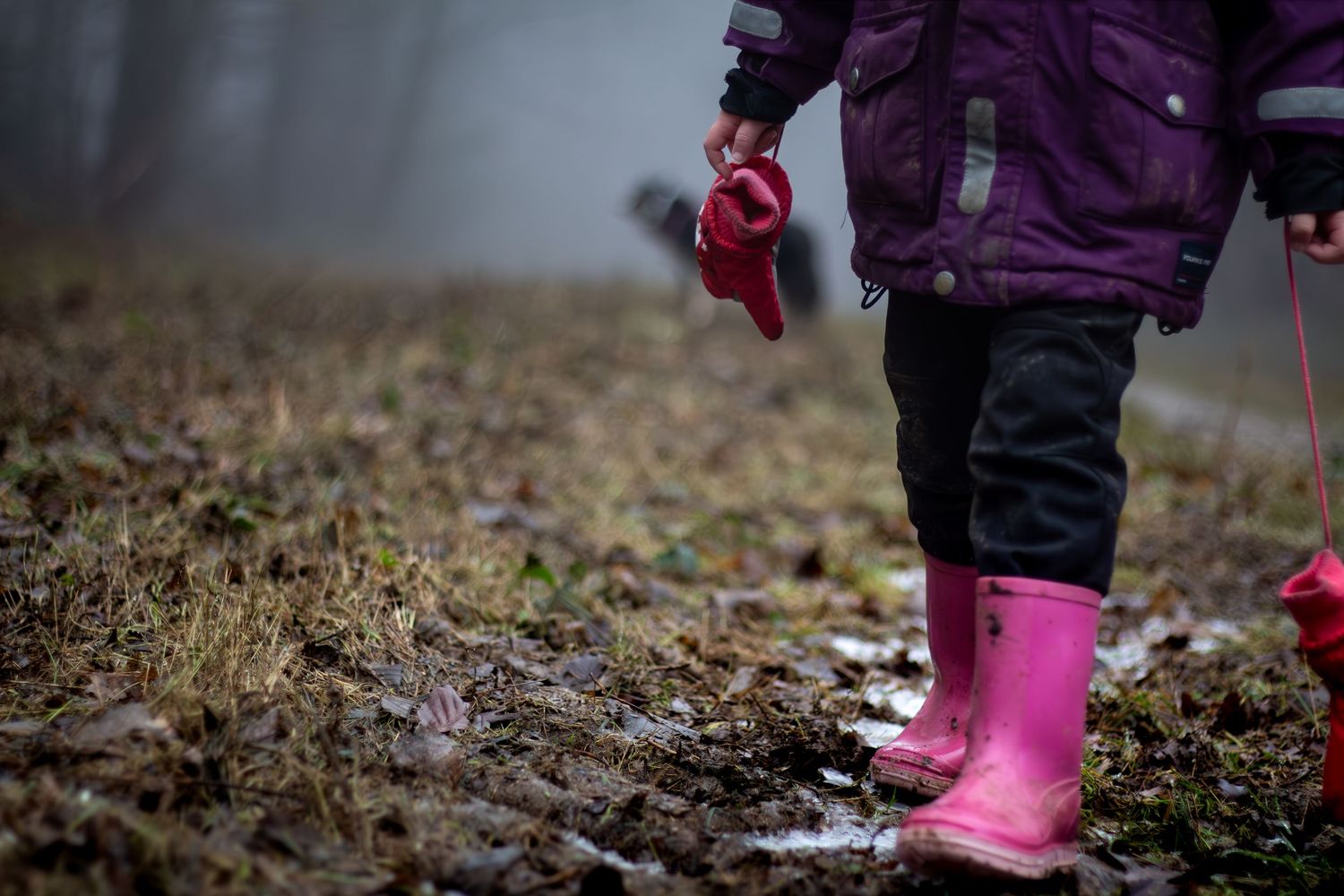 Purple winter boots walking on a muddy trail.