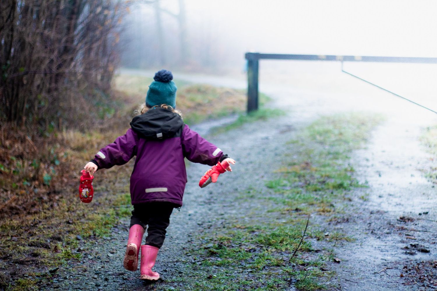 Person in purple coat walking on a misty forest path.