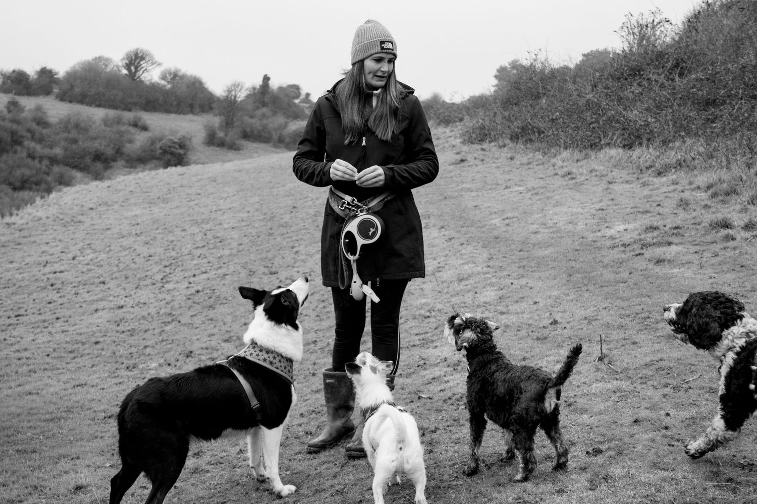 Black and white photo of dogs walking with their owners on a countryside path.