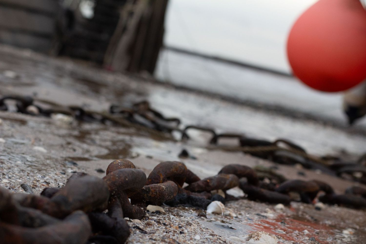 Red buoy and seaweed washed up on rocky beach shore.