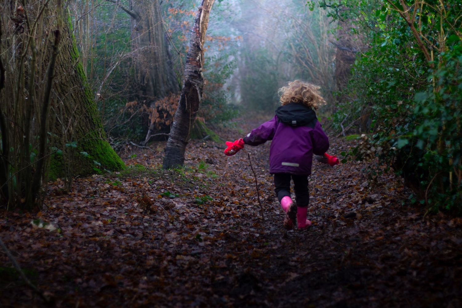 Lifestyle photography in Dover showing people walking through a misty autumn forest path.