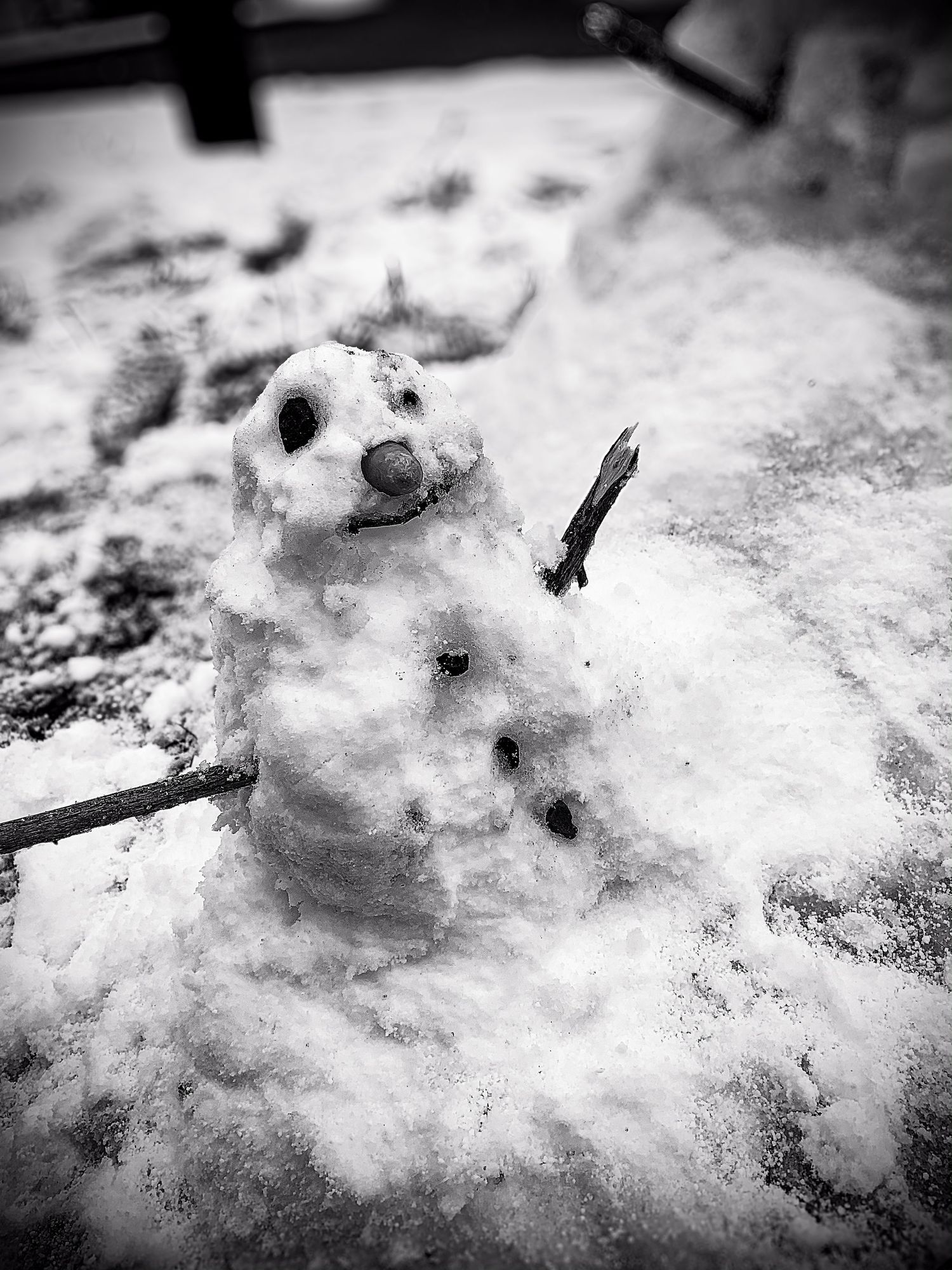 Melting snowman captured in black and white with artistic detail.