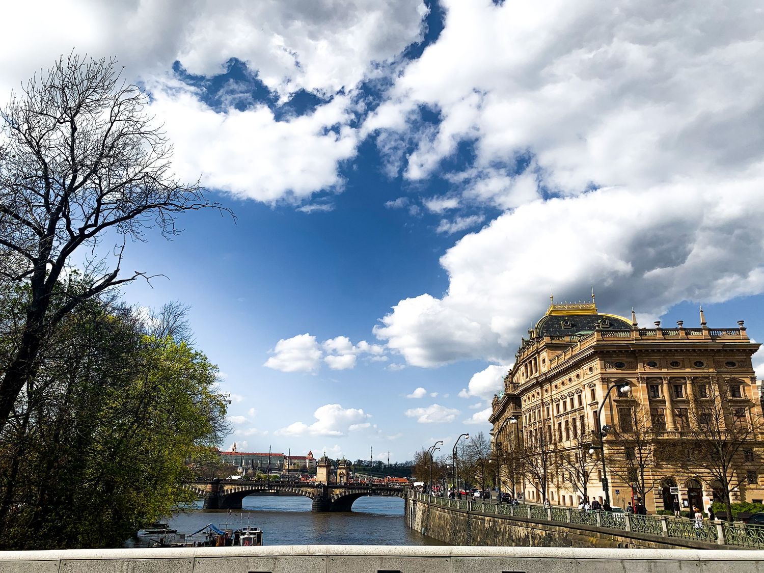 Historic architecture and buildings along a tree-lined street under blue skies.