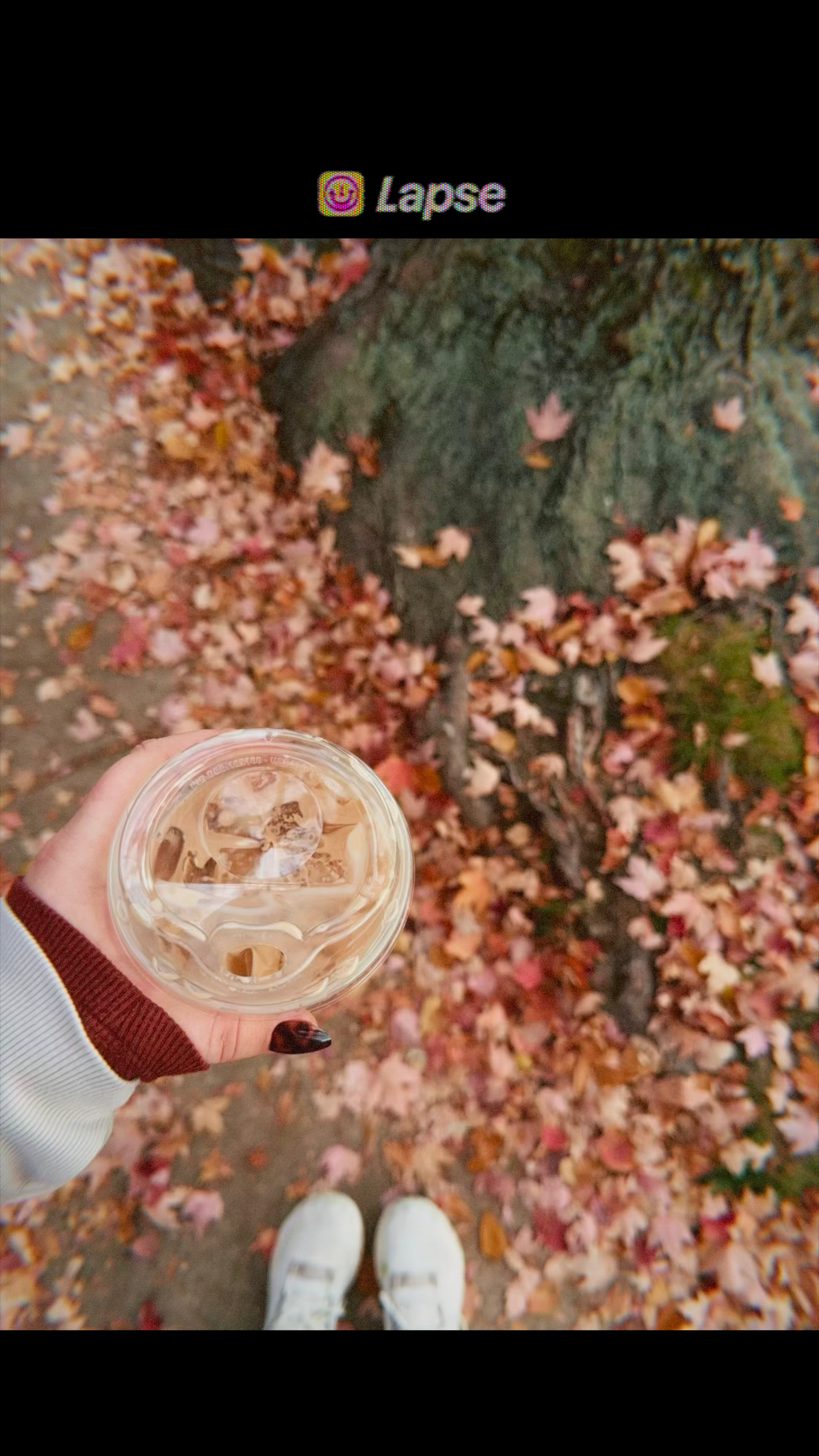 Hand holding an iced coffee drink over a ground covered in colorful autumn fallen leaves Carmel family photographer Regan Nichalson Creative