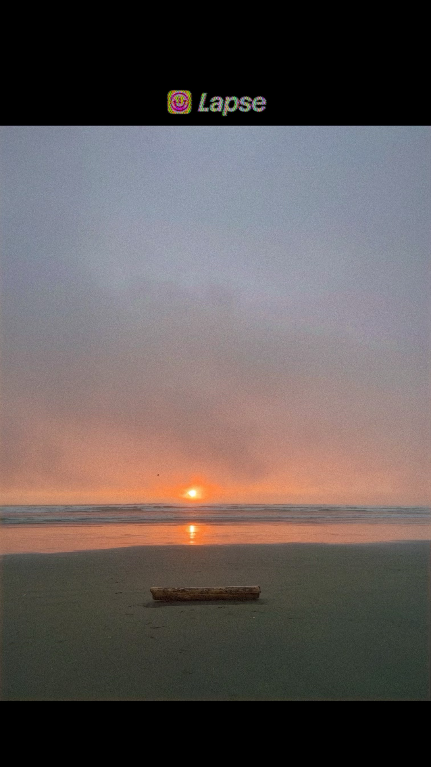 Serene beach sunset with glowing orange sun reflecting on wet sand near driftwood Indianapolis senior photographer Regan Nichalson Creative