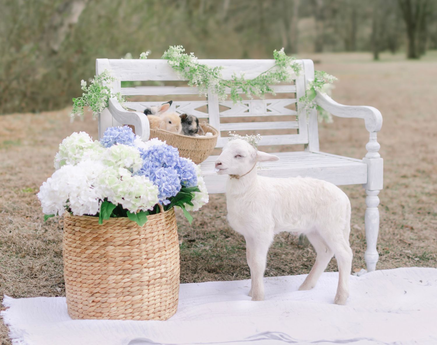 Lamb and Bunnies Mini Easter Spring Photography Sessions for Knoxville Maryville Lenoir City Loudon Tennessee Families and Moms Vintage