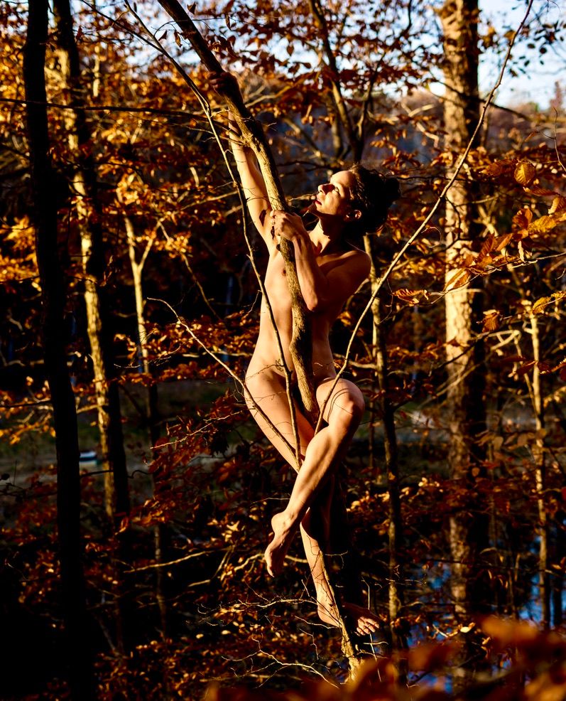 Artistic outdoor photoshoot in a sunlit autumn forest with golden foliage.