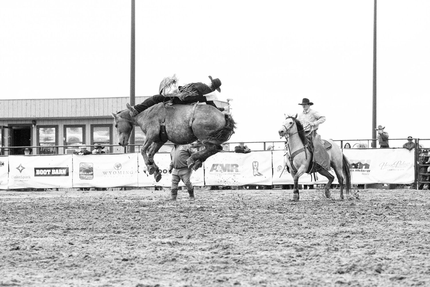 Black and white of bronc rider in Cheyenne Wyoming during Hell on Wheels in 2025.