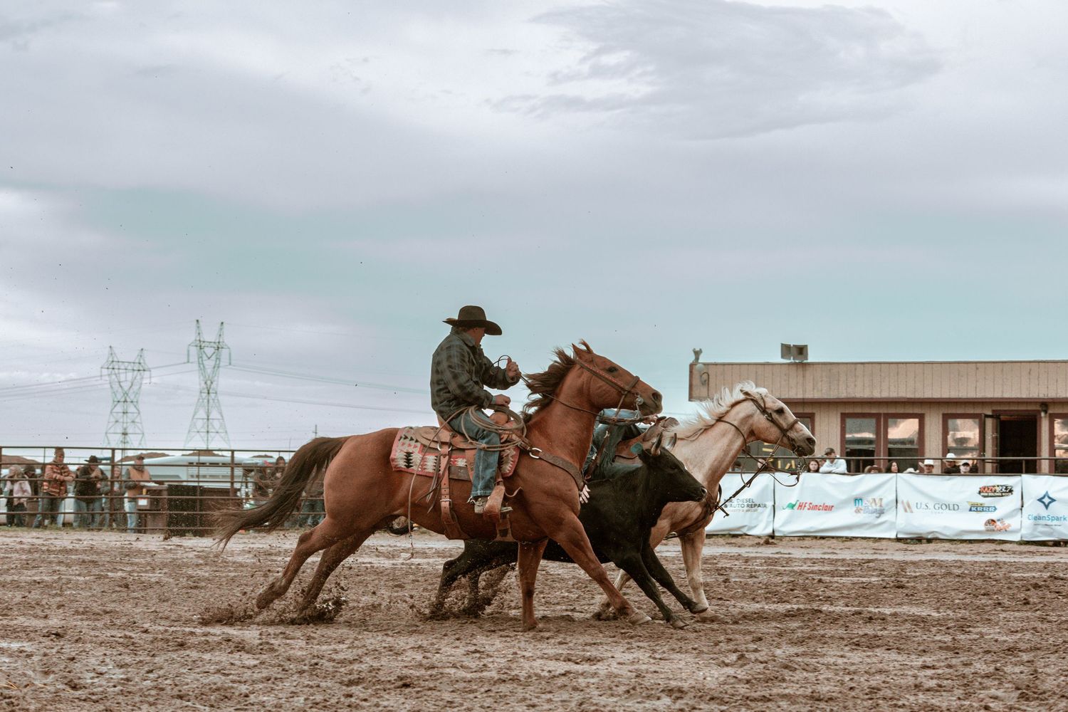 Sequence of a bronc rider and pick up men  attempting to stay mounted on a bucking horse in a rodeo arena in Cheyenne Wyoming