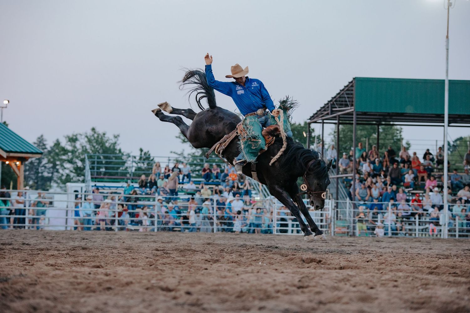 A rodeo rider in blue competes in bronc riding competition as the horse bucks high in the air at a rural arena.
