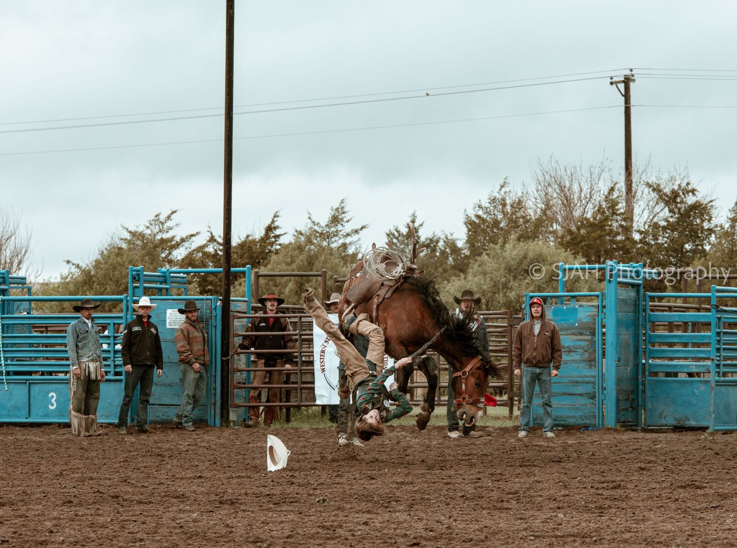 Action shot of bronc riding at a rodeo with blue gates and dirt arena in Potter Nebraska.