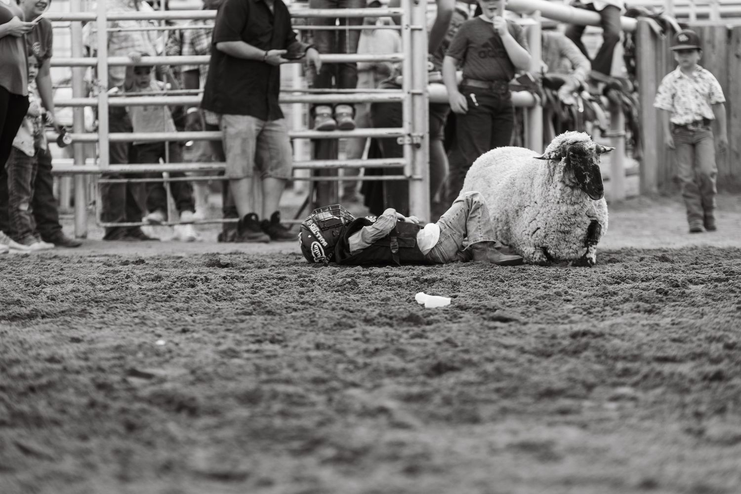 Black and white photo of mutton busting competition at rodeo arena in Kimball Nebraska