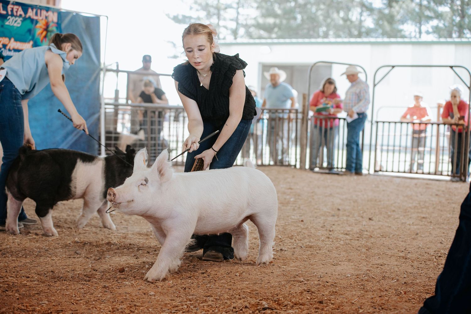 Livestock show participants in Kimball County FFA Alumni Livestock show.