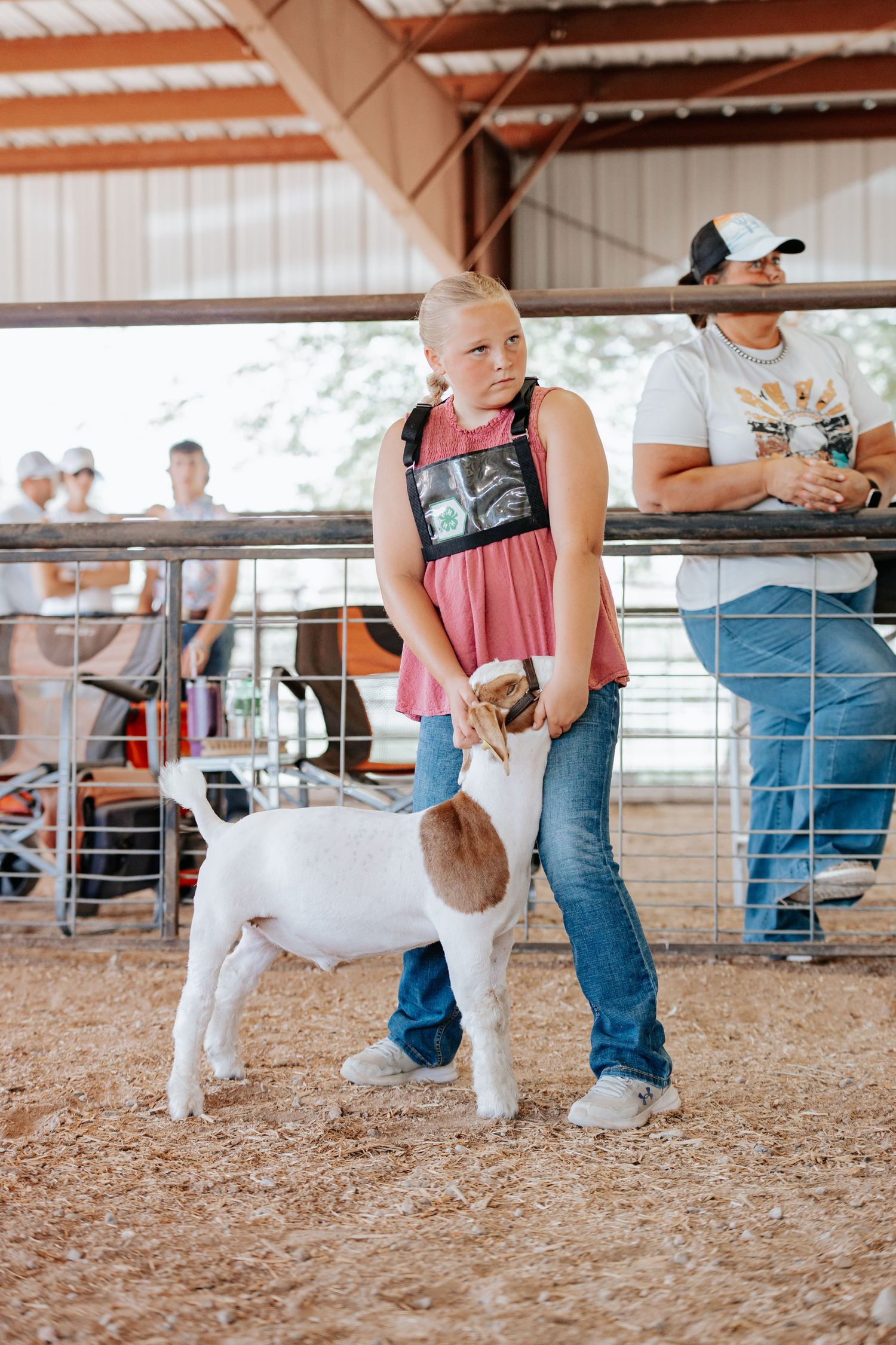 White show goats being presented in a livestock arena during competition in Kimball Nebraska