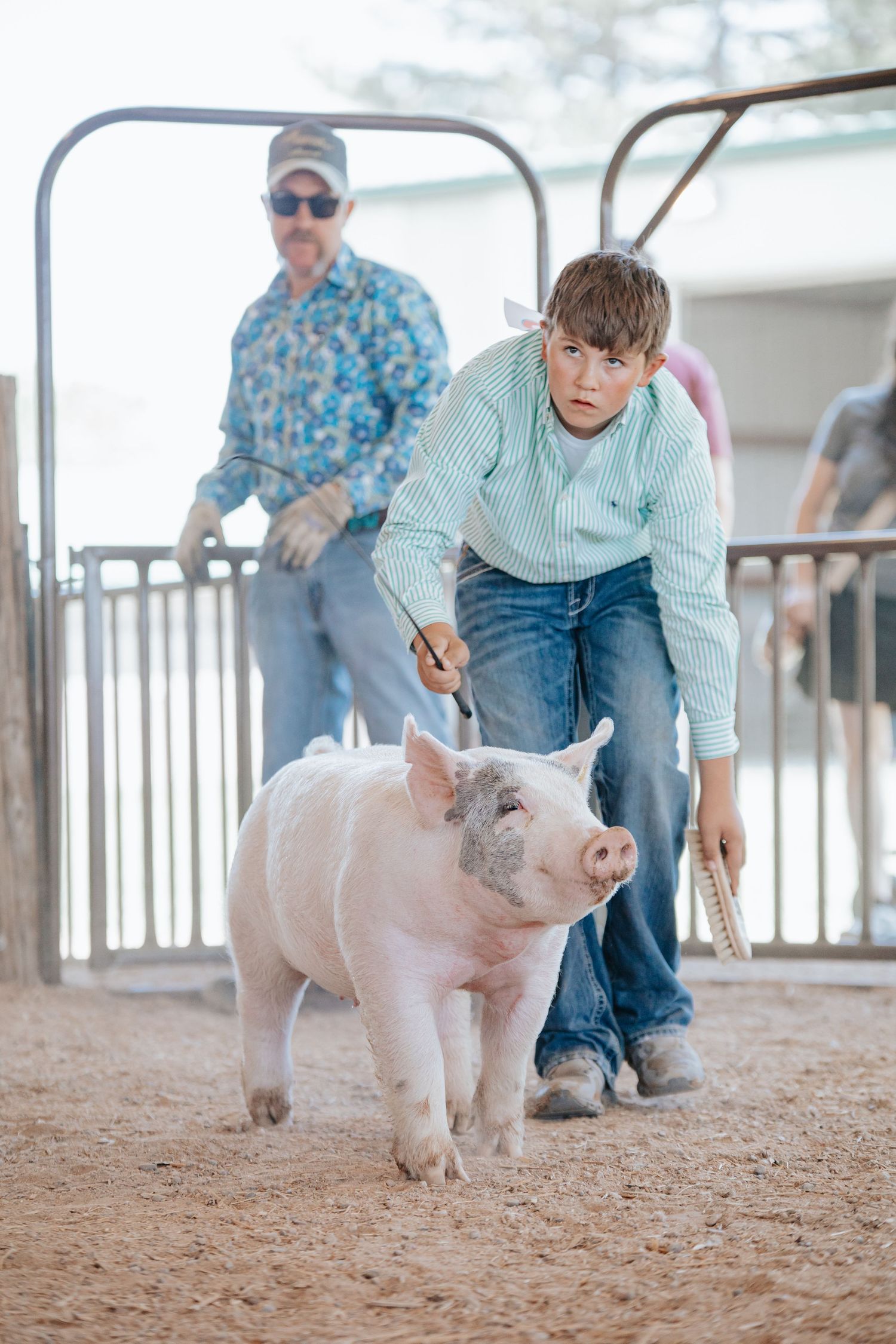 Show pig being guided through a dirt arena during a livestock competition in Kimball, Nebraska