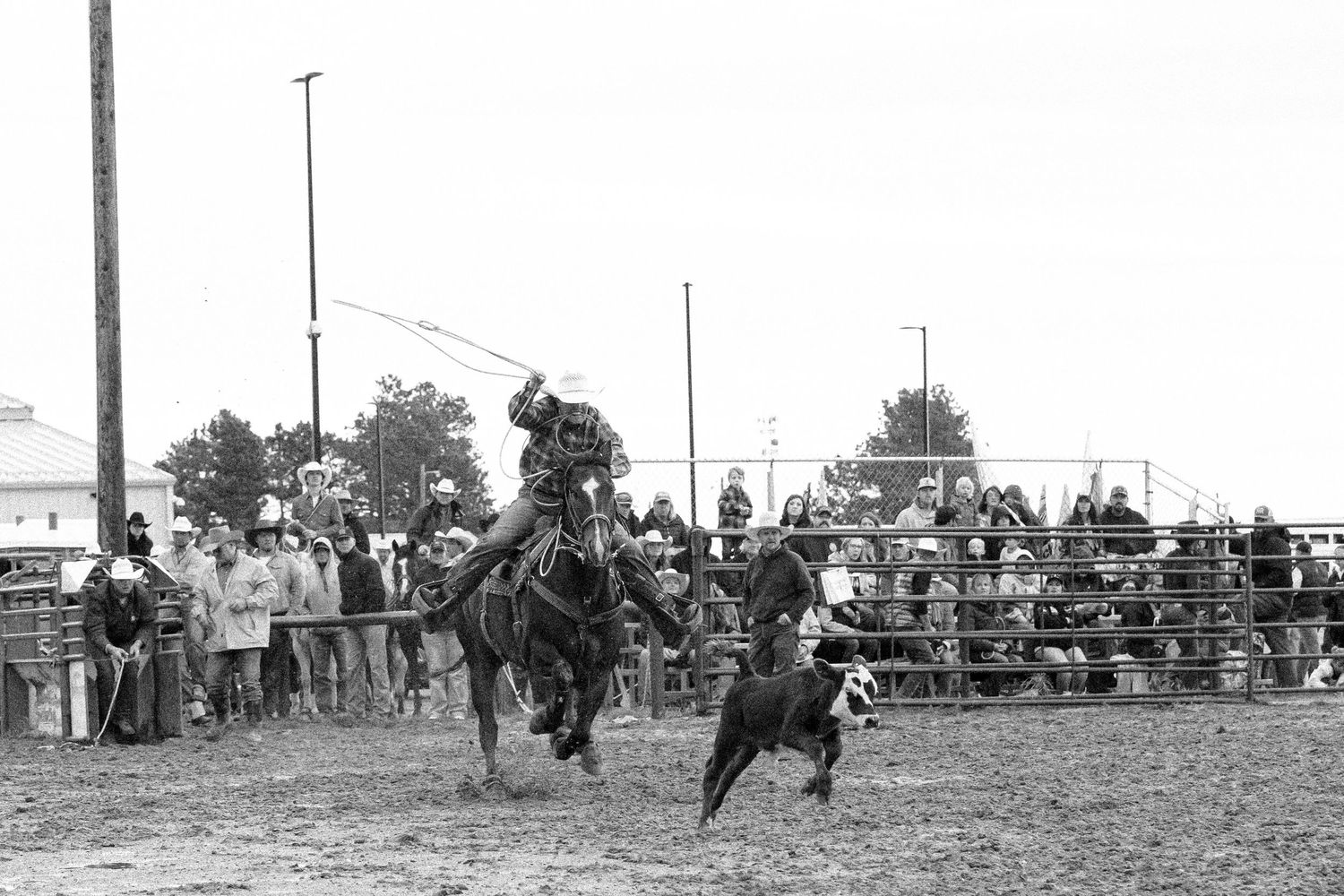 Wide shot of a rodeo arena with cowboys and horses performing during a competition.