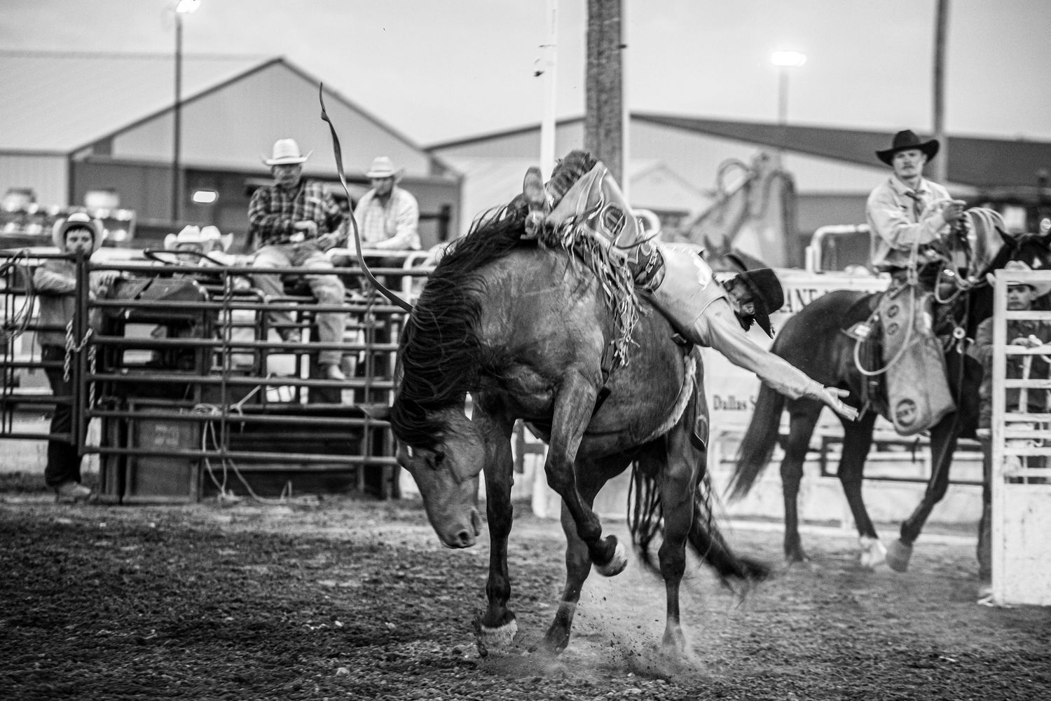Action shots of rodeo competitors performing in a western arena setting.