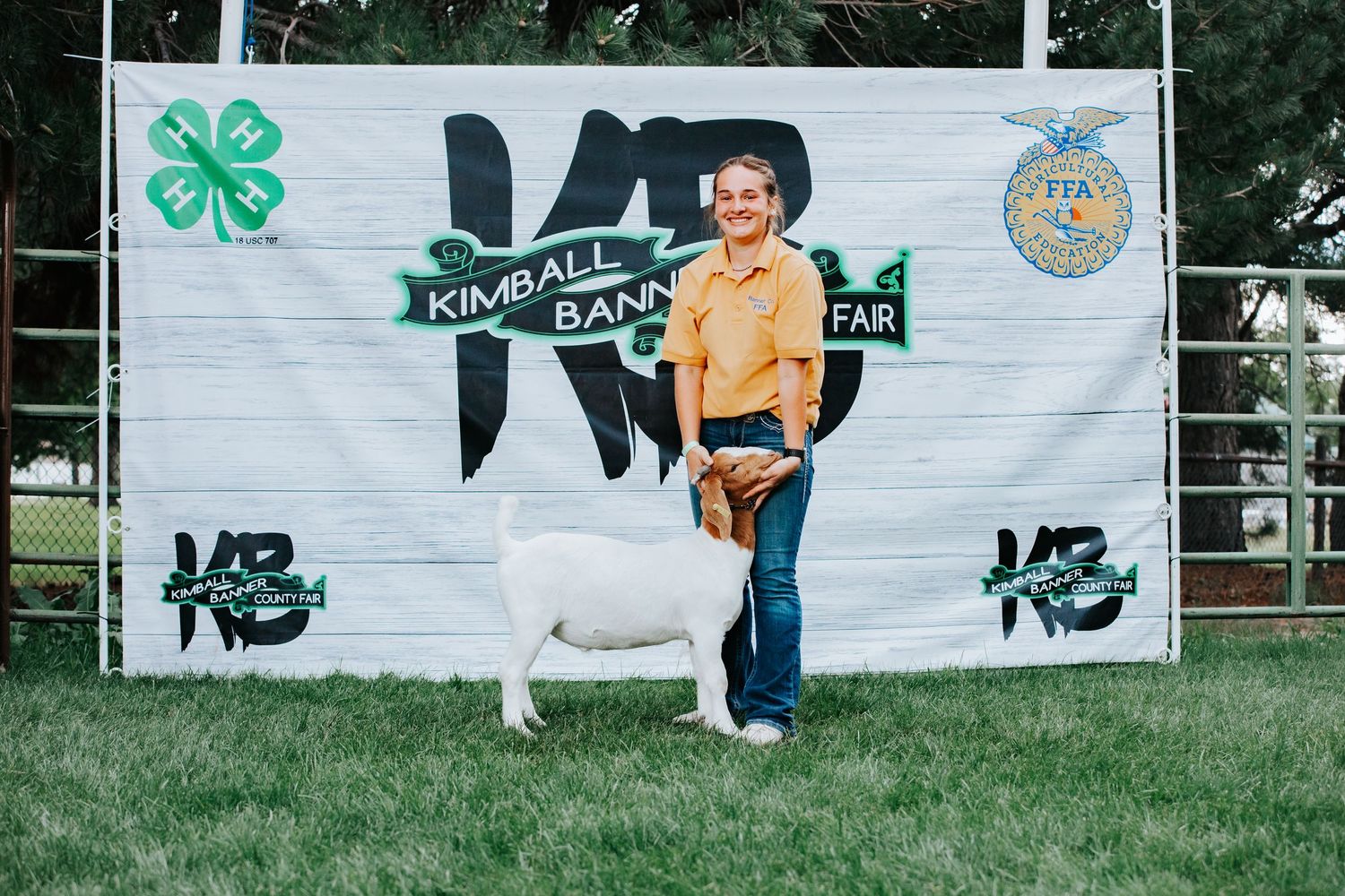 4-H club display banners and livestock during the Kimball County Fair