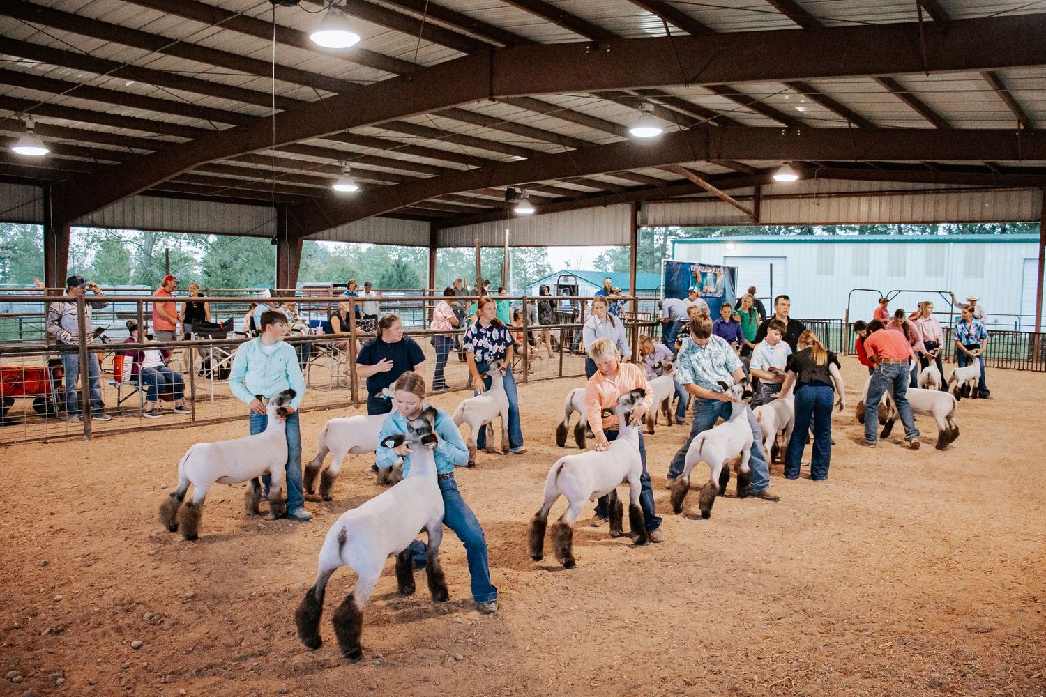 Panoramic view of livestock show arena with participants lined up for judging in Kimball Nebraska.