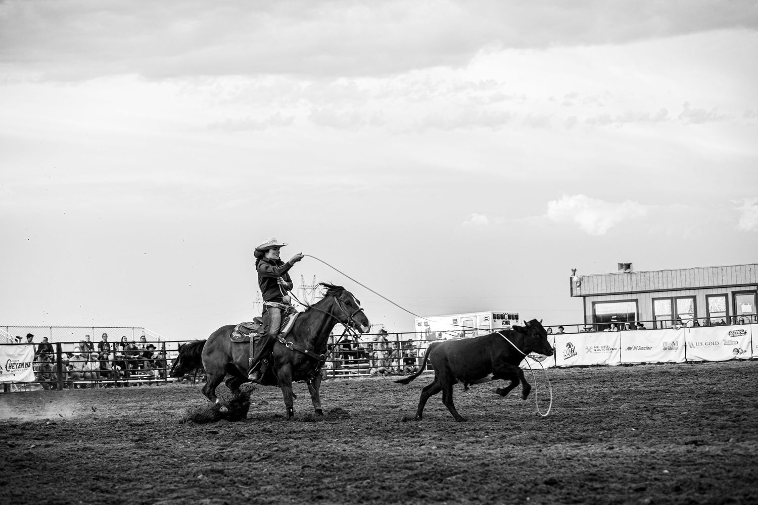 Black and white panorama of cowboys herding cattle across an open field in Cheyenne Wyoming.