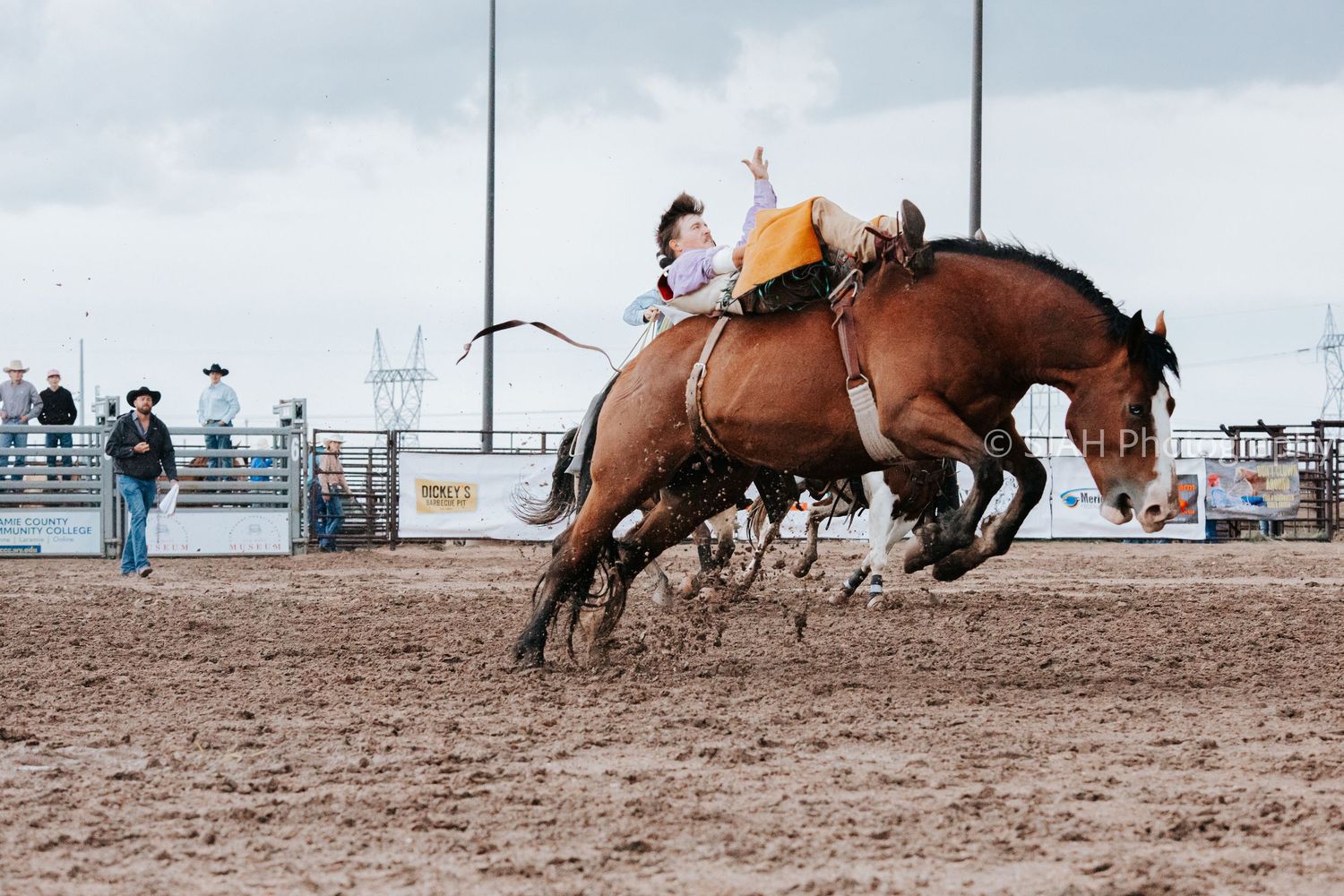 Action shot of a horse bucking wildly in a dusty rodeo arena with spectators watching.
