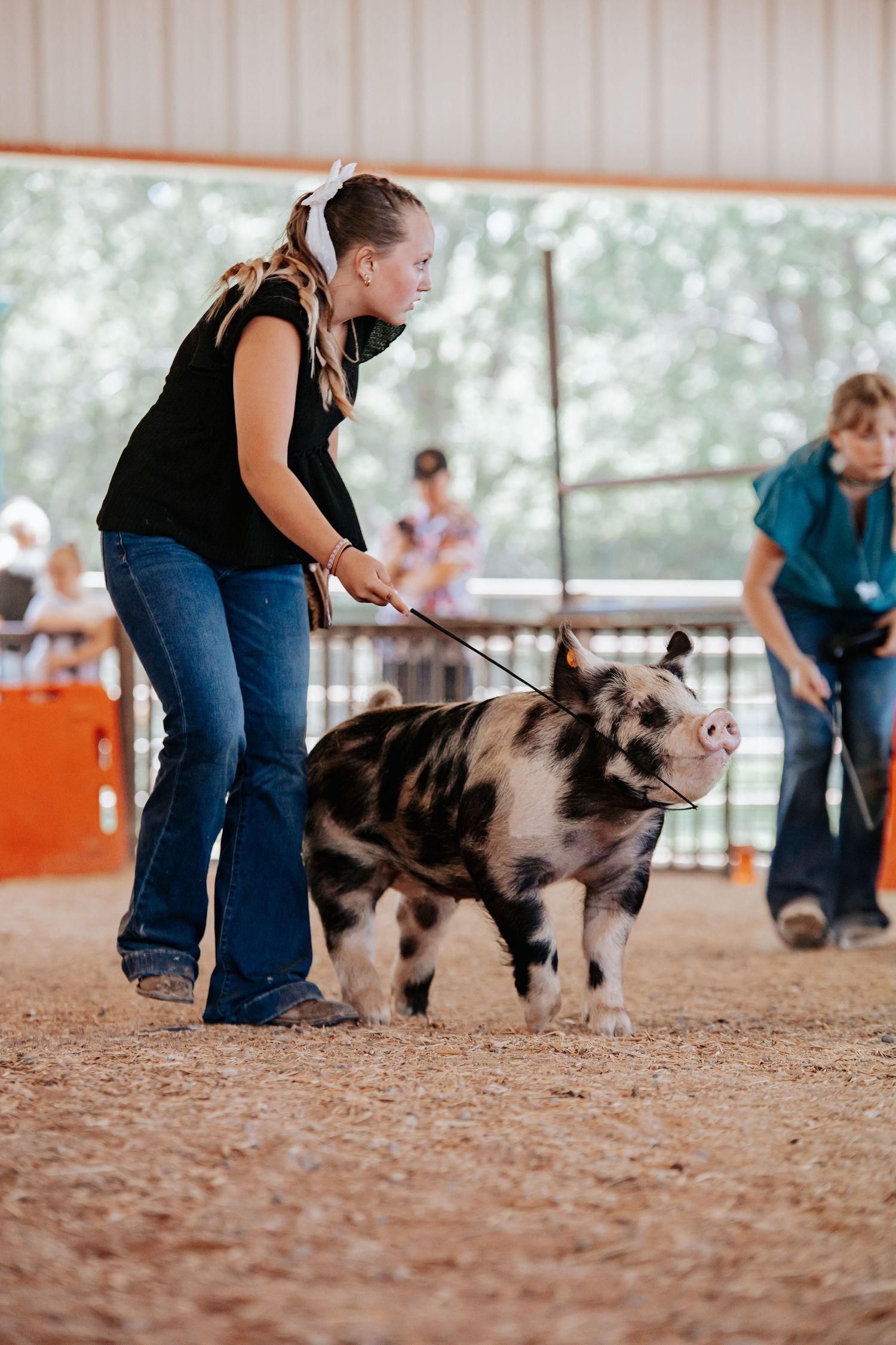 Swine showmanship in Kimball, NE