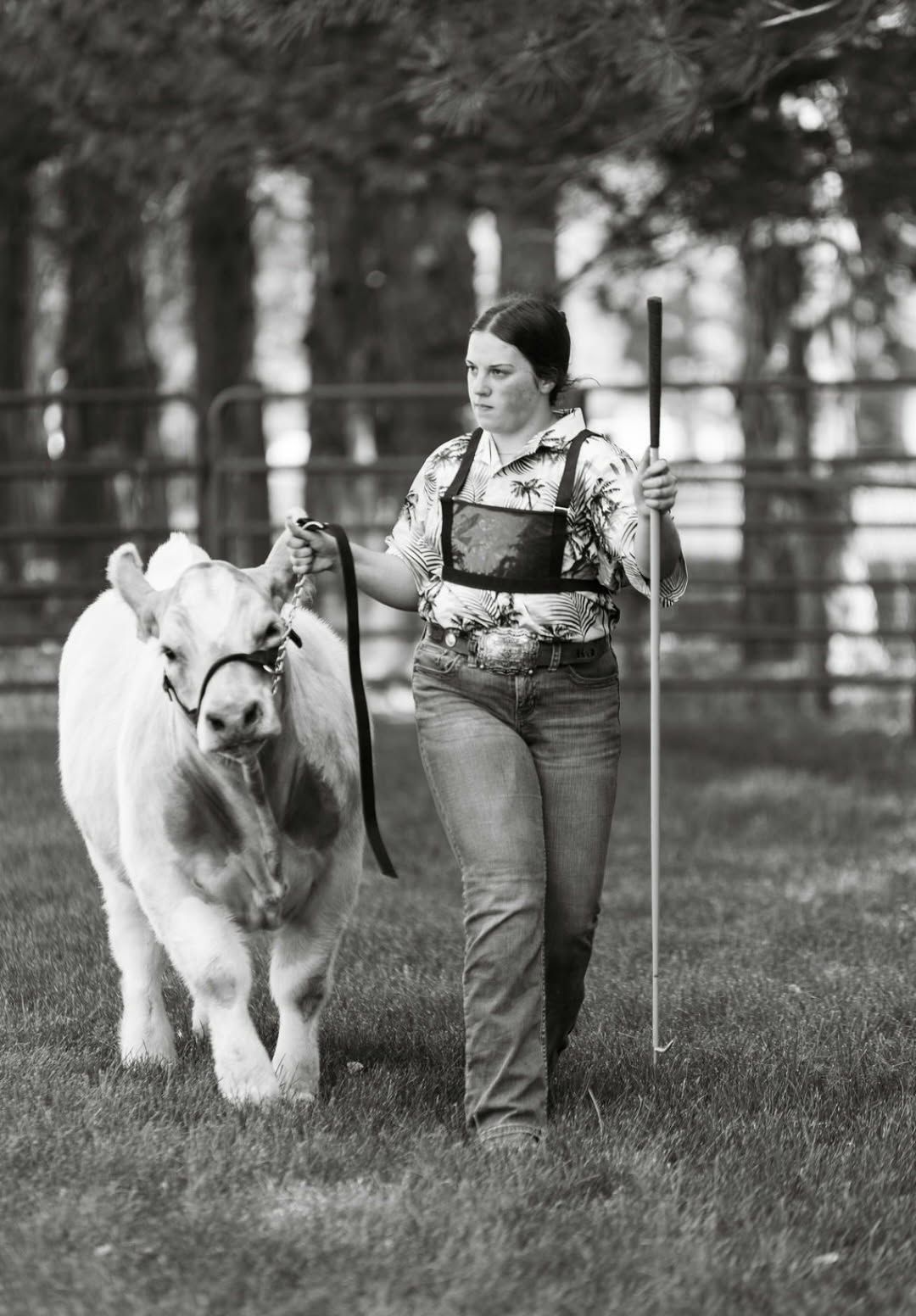 A livestock show in Kimball Nebraska.