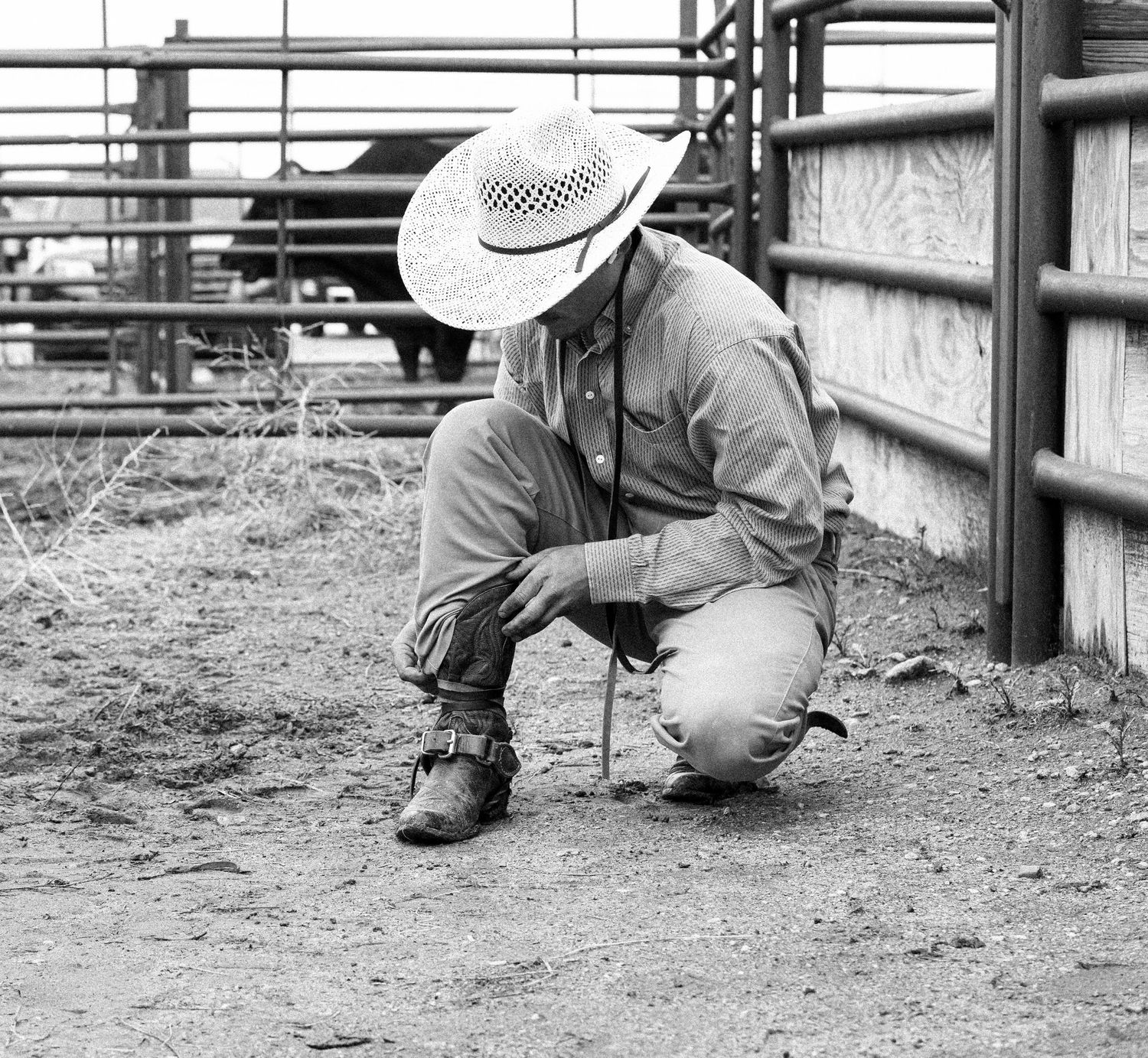 Black and white photo of bronc rider in Cheyenne Wyoming at Hell on Wheels Week 2025