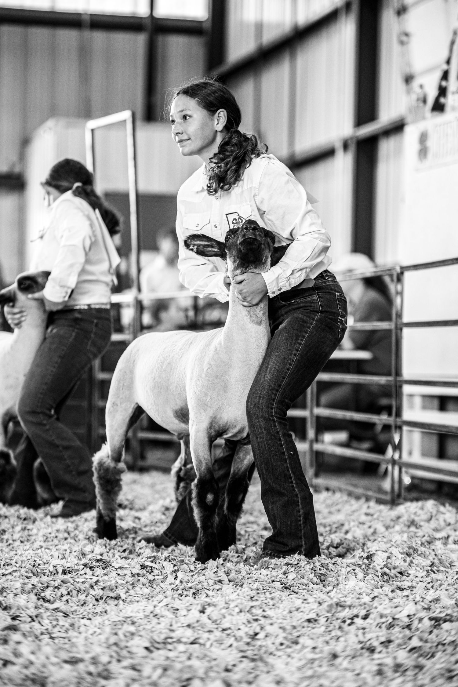 Young girl showing a sheep at an indoor livestock competition in black and white photography.