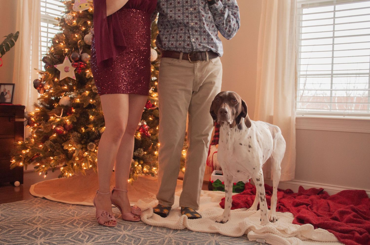 Couple in holiday attire standing with a Gsp dog beside a decorated Christmas tree in a festive living room.