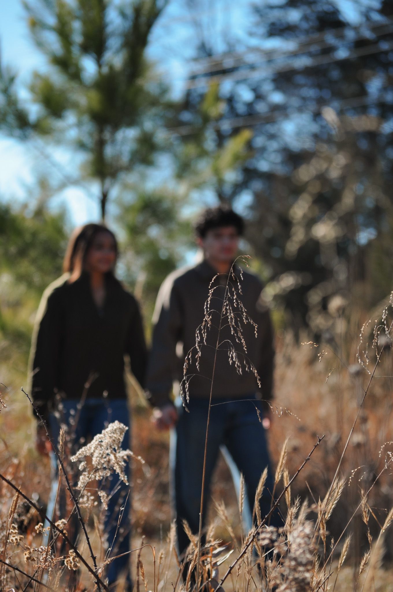 Couple holding hands walking through a dry autumn field with blurred wildgrasses in the foreground and trees behind.