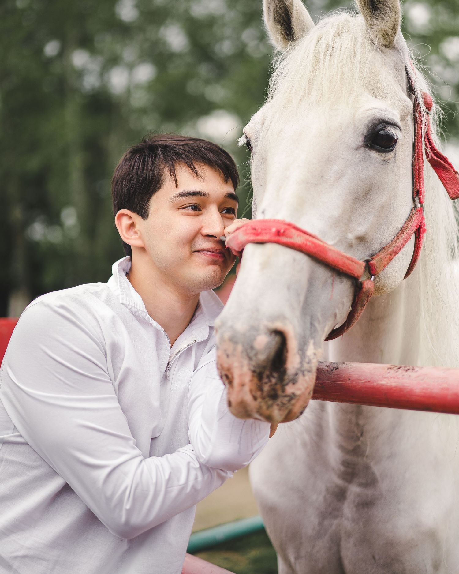 Person in white shirt showing affection to white horse outdoors.