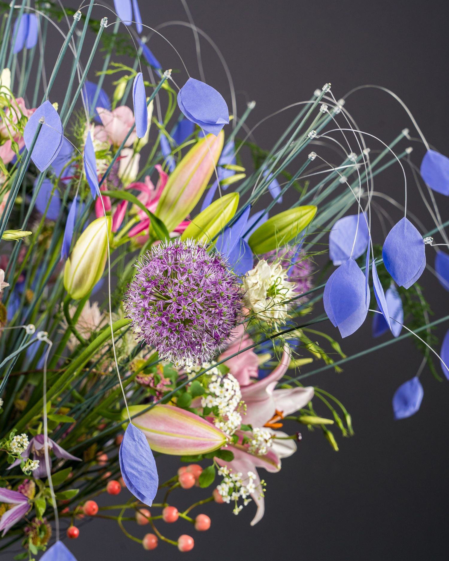Close-up of delicate purple allium flowers with blue blooms against dark background.