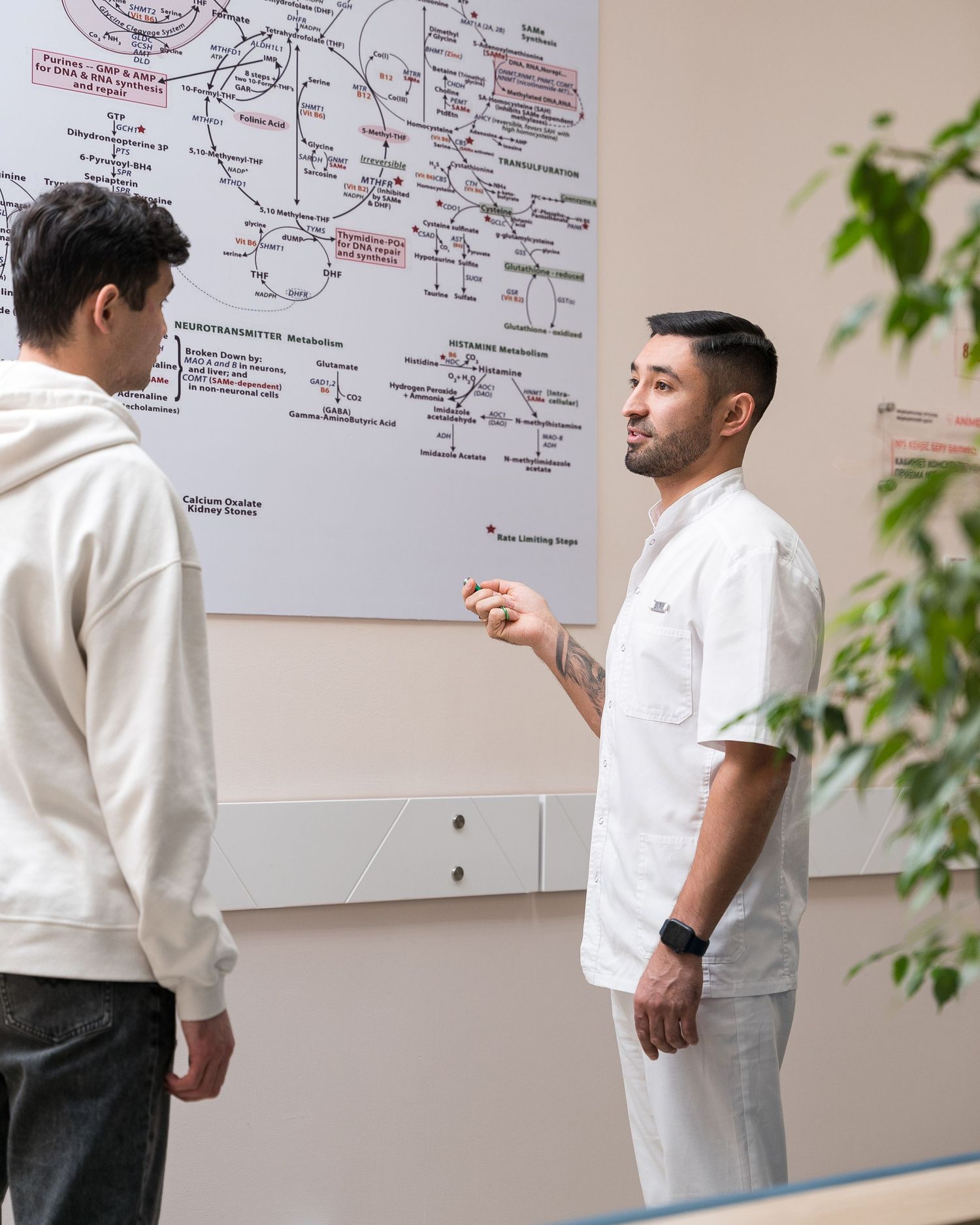 Healthcare professionals review medical information on a whiteboard during a team meeting.