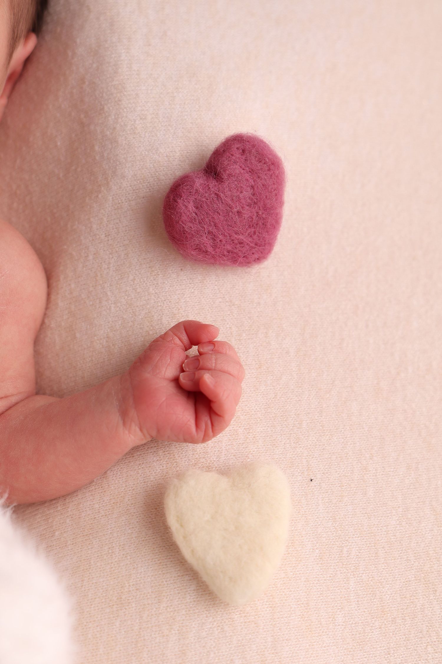 Détail délicat de la main d'un nouveau-né entourée de petits cœurs en feutre, photographie de naissance par Cindy Poulet Photographe
