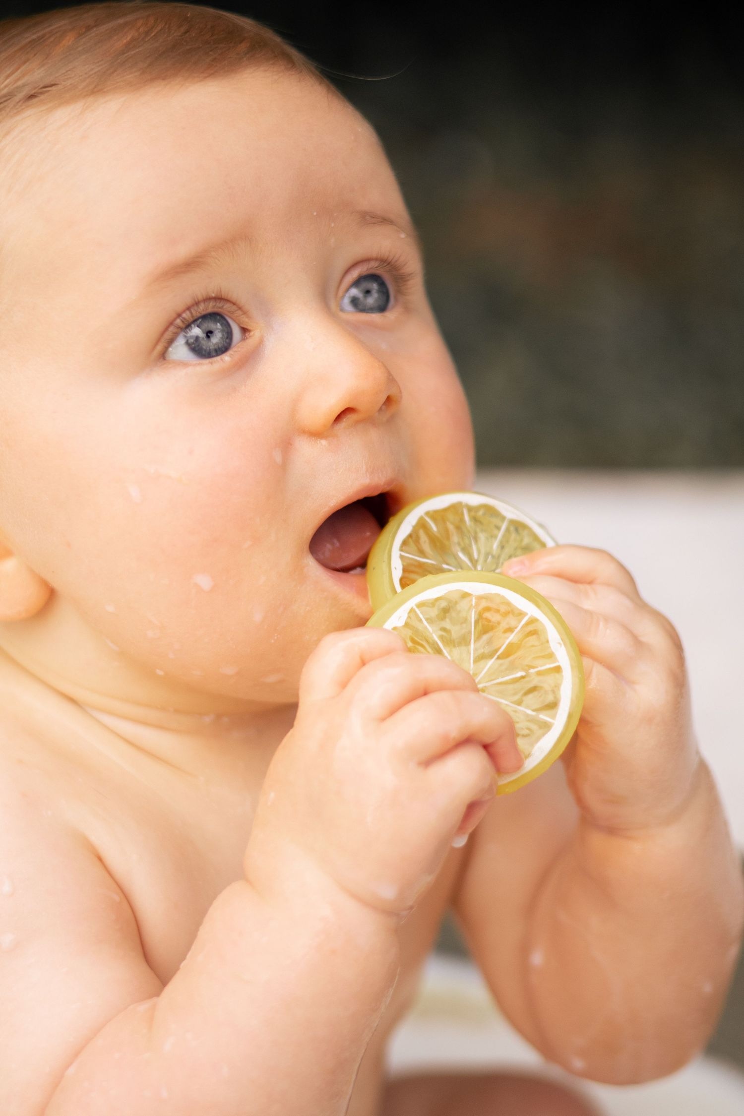 Portrait artistique de nouveau-né qui mange du citron, séance photo naissance en studio par Cindy Poulet Photographe