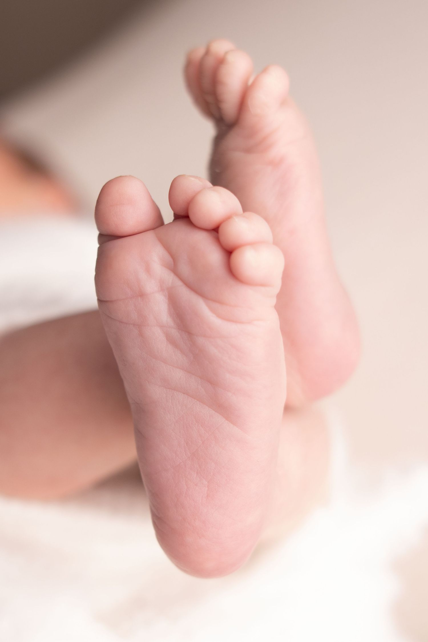 Photographie de nouveau-né par Cindy Poulet Photographe : gros plan artistique sur les petits pieds d'un bébé lors d'une séance photo de nai