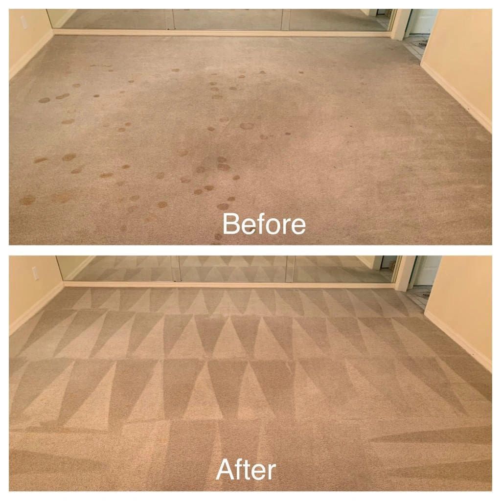 carpet cleaners in brooklyn