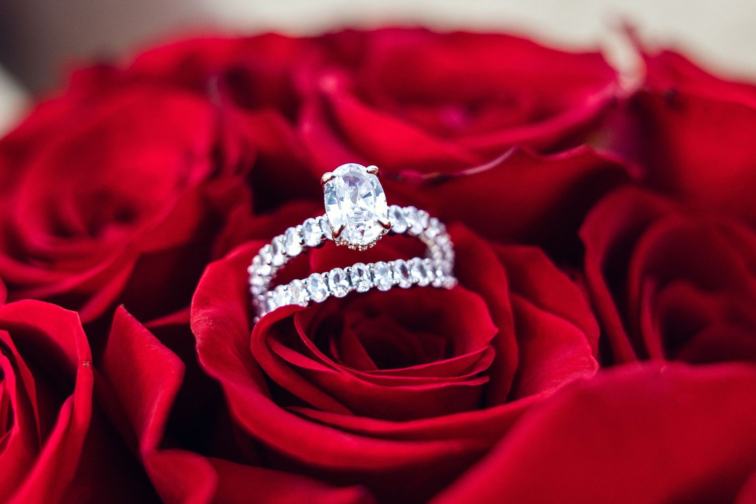 Stunning diamond engagement ring with halo band resting elegantly among vibrant red roses.