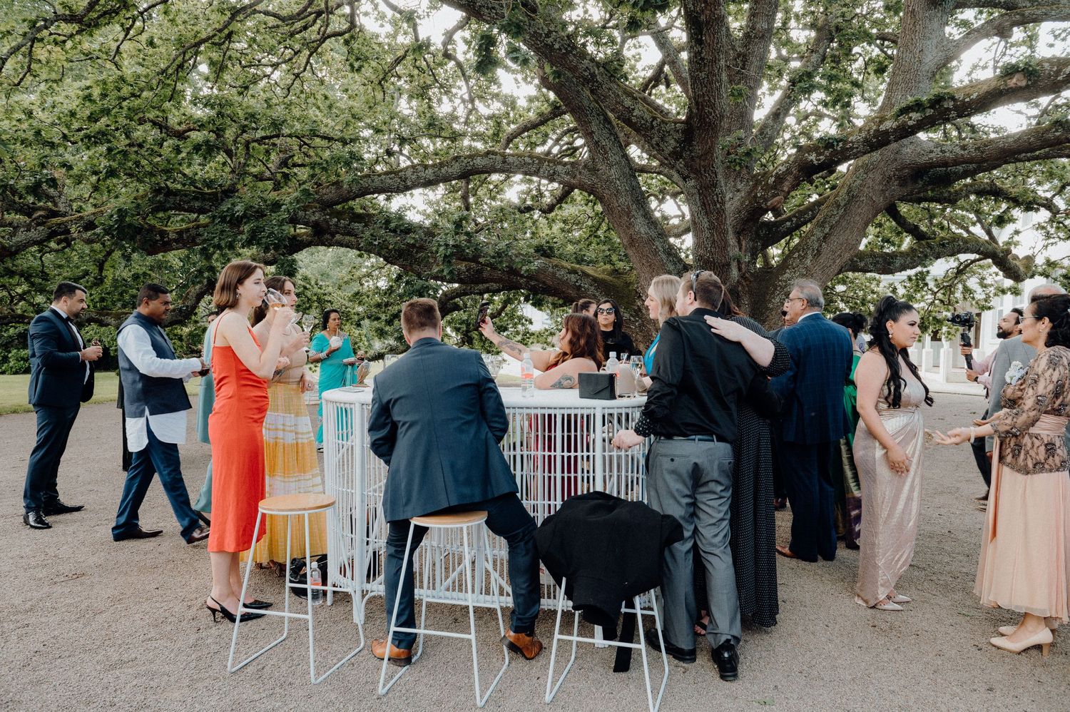 Reception guests gathered around cocktail tables under a sprawling tree.