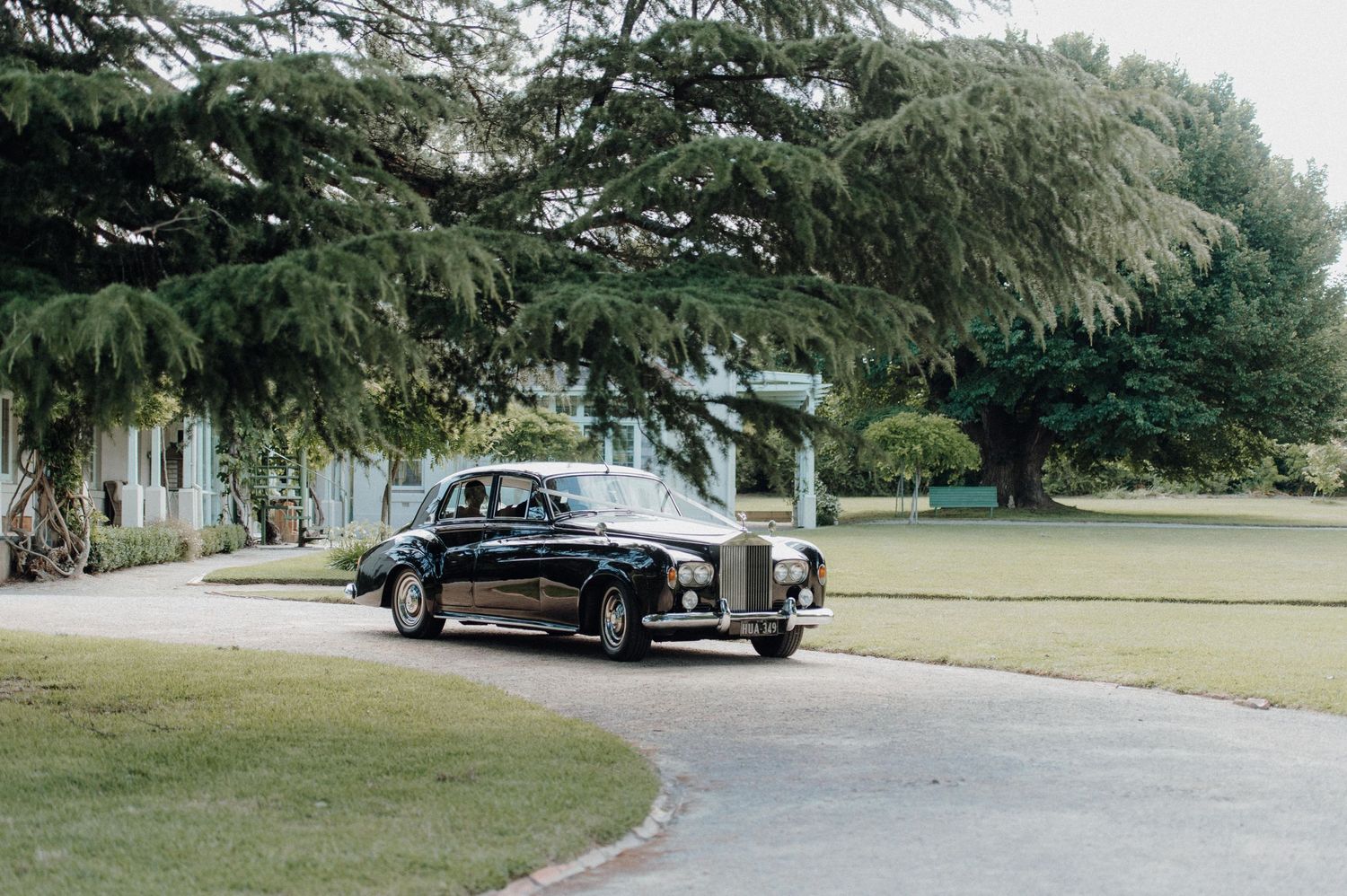 Classic vintage Rolls Royce parked on a curved driveway under large trees.