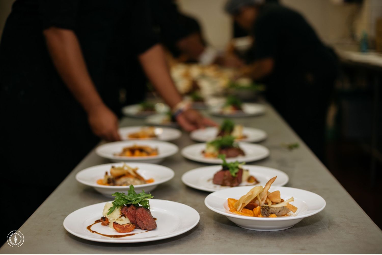 Multiple plates of elegantly plated appetizers lined up in a commercial kitchen setting.