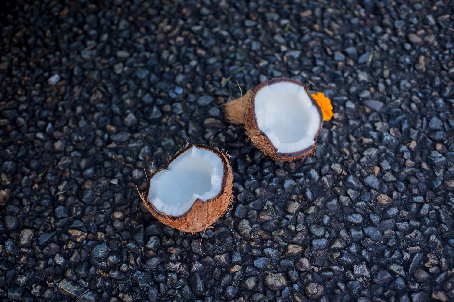 Two halved fresh coconuts displayed on dark textured stone surface.