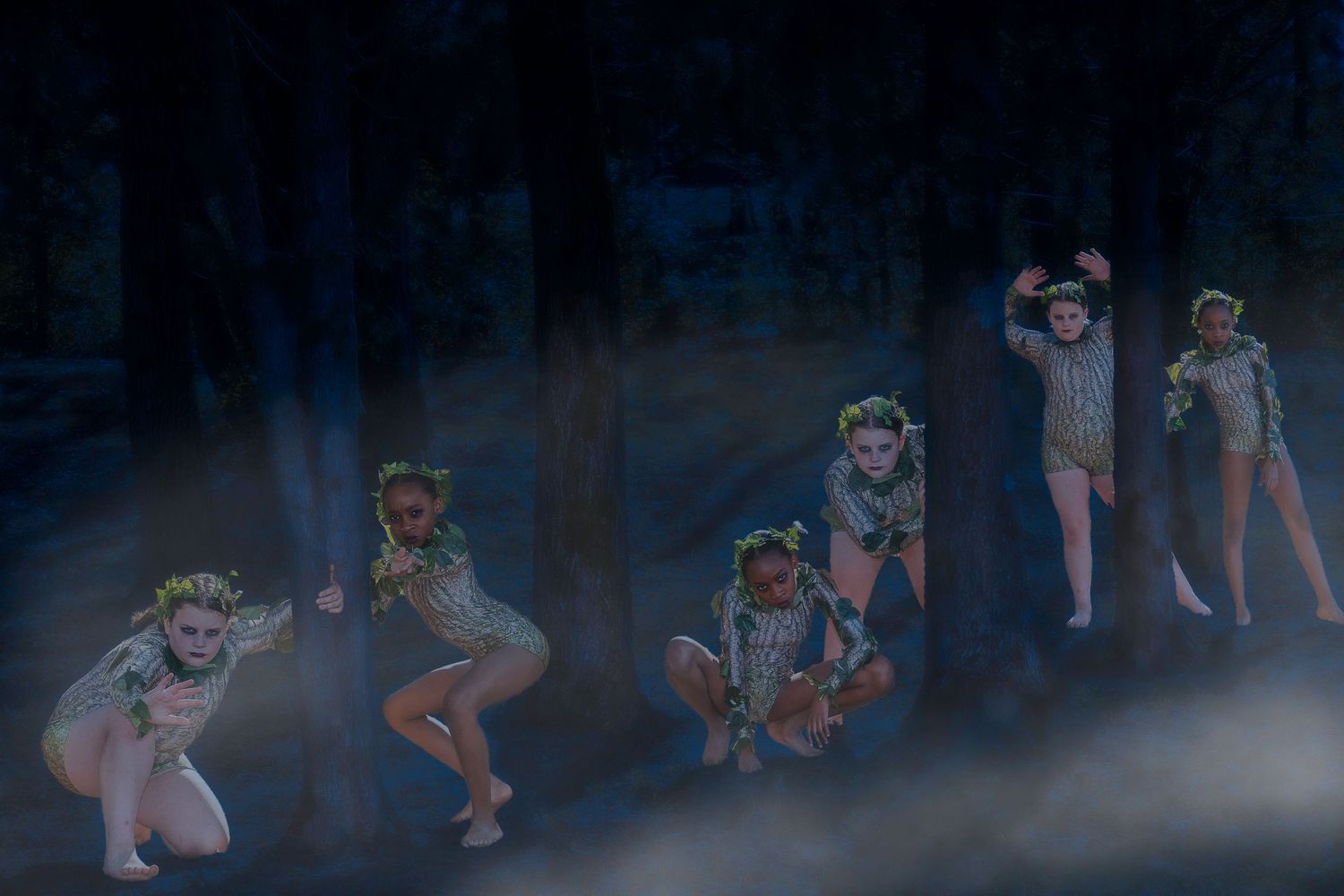Multiplicity
Into the Woods