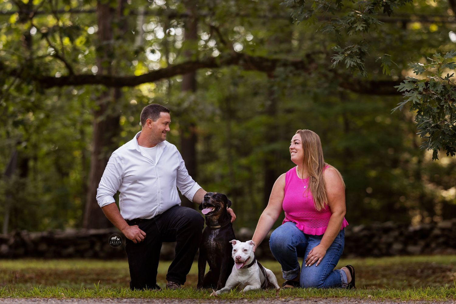 Dog Family photoshoot